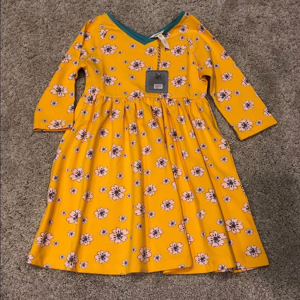 Field tripper dress